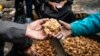 Islamic State Group Kills 15 Truffle Hunters in Syria, Monitor Says