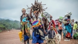 Murisanga