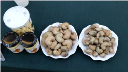 ព័ត៌មានពេលរាត្រី ២៣ ធ្នូ៖ សហ​គ្រាស​កែច្នៃ​គ្រាប់​ស្វាយចន្ទី​មាន​ការរីកចម្រើន​គួរ​ឱ្យ​កត់សម្គាល់ ប៉ុន្តែ​នៅ​មាន​តម្រូវការ​​ទុន​បន្ថែម​