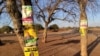 Abanye Bathi Bakhathele Ngezithembiso Zamanga Okuzakwenza Bengayivota