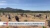 Entran en vigor restricciones al asilo para migrantes que lleguen a EEUU sin documentos migratorios