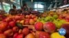 Despite Improving Indicators, Biden Still Scores Low on Economy 