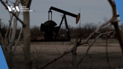 Студія Вашингтон. Кліматичні зміни: які позиції у Байдена і Трампа