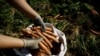 ¿Qué es y cómo funciona el programa para trabajadores migrantes de Panamá y Nicaragua en Costa Rica?