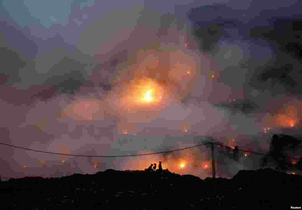 Dogs sit next to the burning garbage following a fire at Ghazipur landfill site in New Delhi, India.