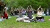 Pigs in Yoga Class Put People at Ease