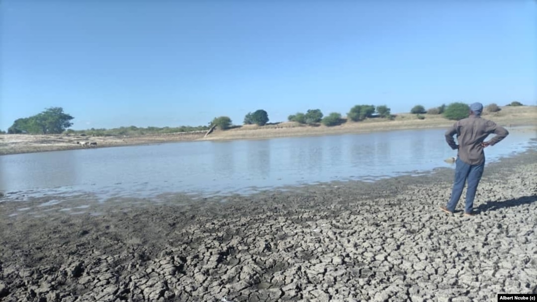Amadamu asomile esigabeni se Matabeleland South.