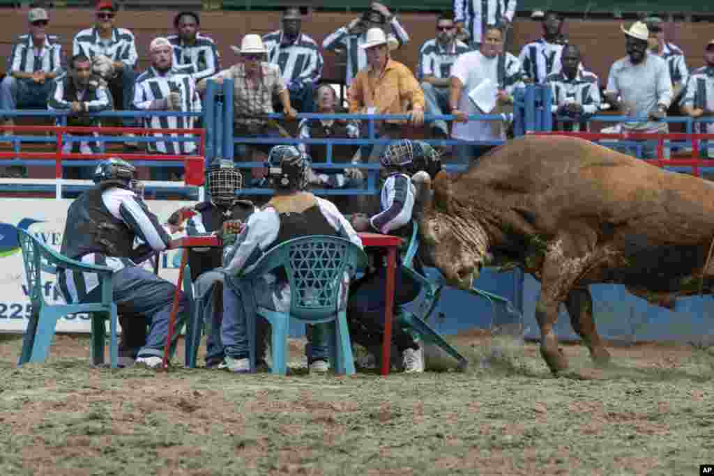 Known as the "Wildest Show in the South", inmates compete for cash during "Convict Poker" in the Angola Prison Rodeo in Angola, Louisiana, April 24, 2022. The last inmate seated wins cash.