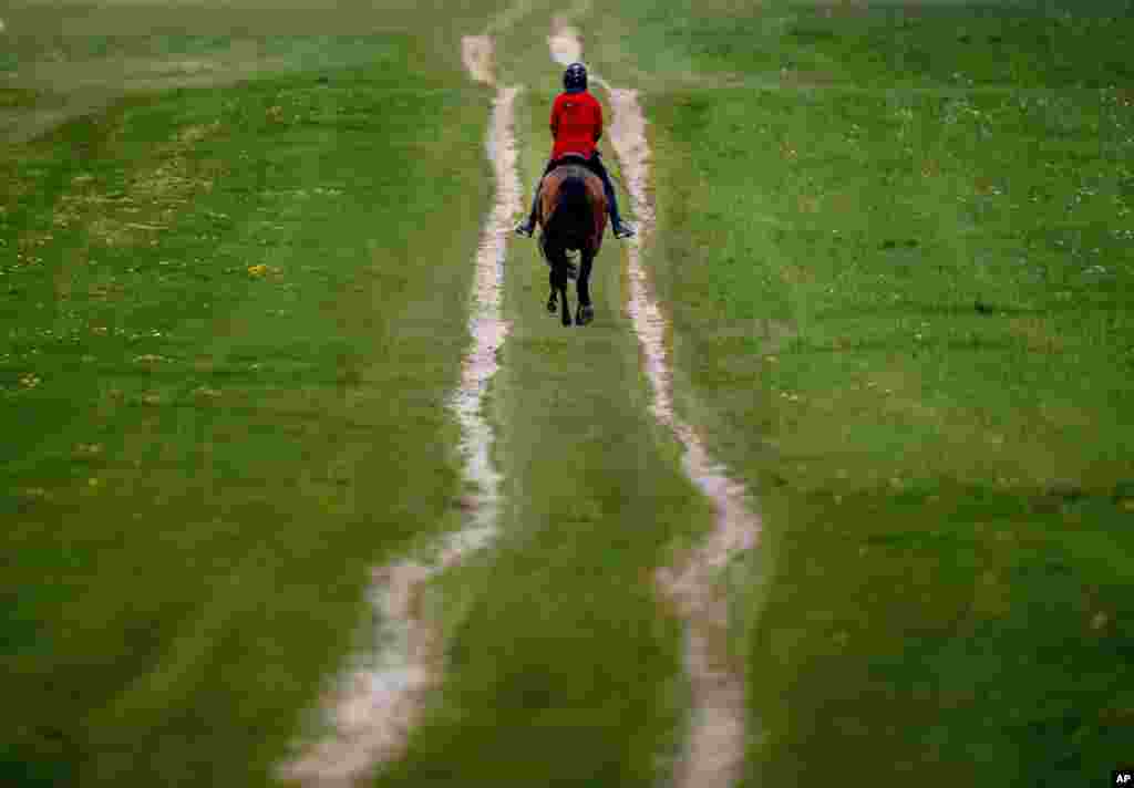 A woman rides her horse on a small path in Wehrheim near Frankfurt, Germany.