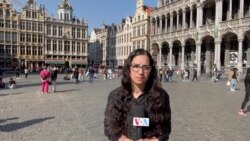 Anita Powell Previews Biden NATO Meetings
