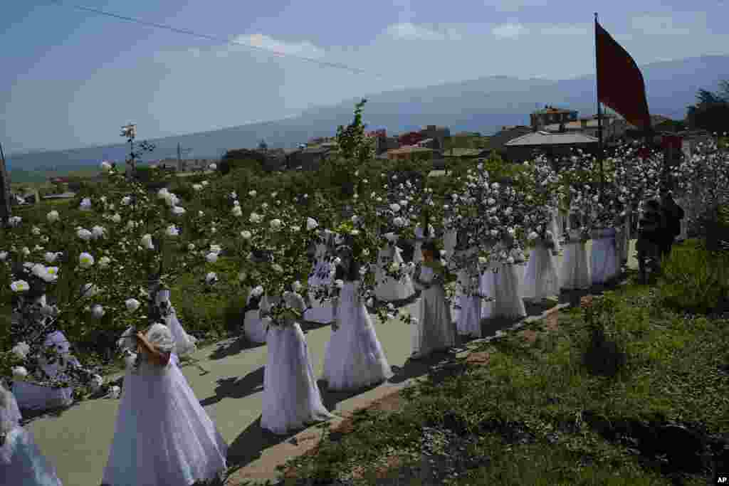 "Las Doncellas" (maidens) dressed in bridal white, carrying flowers, take part in the pilgrimage "The Maidens", in Sorzano, northern Spain.
