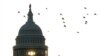 EEUU: Los demócratas conservarán el Senado, los republicanos acarician la Cámara de Representantes
