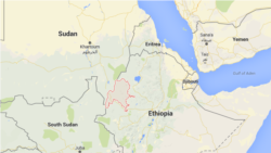 ከአራት መቶ በላይ የሚሆኑ አሶሳ አካባቢ የሚኖሩ አርሶ አደሮች ክስ መመስረታቸው ታወቀ