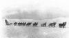 Mushers, dogs braved Alaska winter to deliver lifesaving serum 100 years ago 