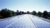 Last year alone, colleges and universities across the United States created more than 100 major or minor programs in so-called green subjects.