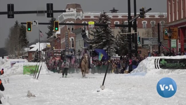 Horses Pull Skiers in Race Through Obstacle Course During Colorado Festival 