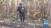 Report: Russia, Myanmar Only States to Use Anti-Personnel Landmines in 2022 