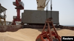 FILE - Wheat grain is seen on the MV Brave Commander vessel from Yuzhny Port in Ukraine as it docks in Djibouti, Aug. 30, 2022. (Hugh Rutherford/World Food Program/Handout via Reuters)