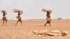 US: Africa's Food Insecurity to Persist Because of Climate Change, Conflicts 
