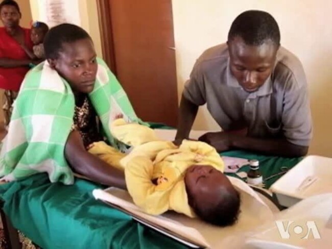 Malaria Deaths Drop Drastically; WHO Predicts More Success