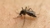 Lessons Learned From Ebola Might Help Fight Zika