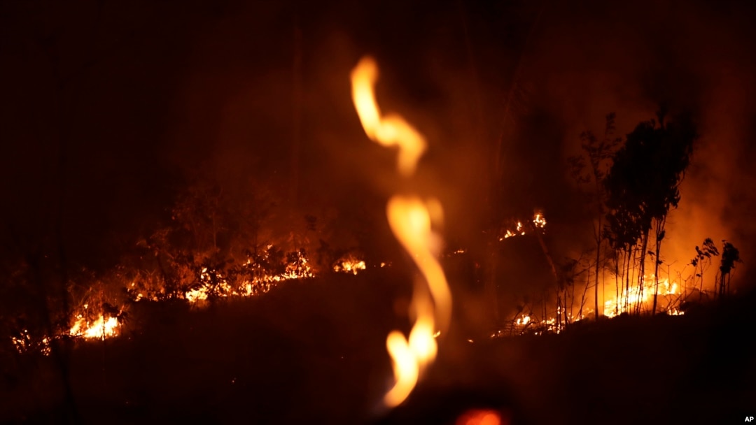 A fire burns in highway margins in the city of Porto Velho, Rondonia state, part of Brazil's Amazon, Sunday, Aug. 25, 2019. 
