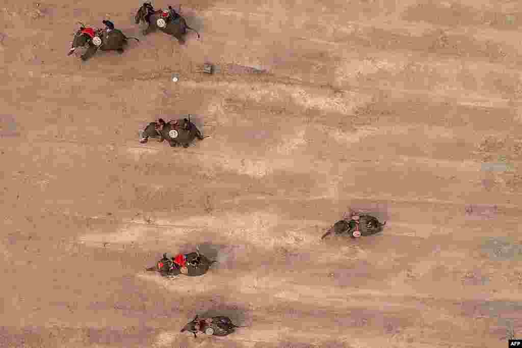 This aerial photograph shows mahouts racing their elephants during the Buon Don elephant festival in Vietnam's central highlands of Dak Lak province.