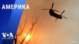 «Америка» – 13 января 2025 