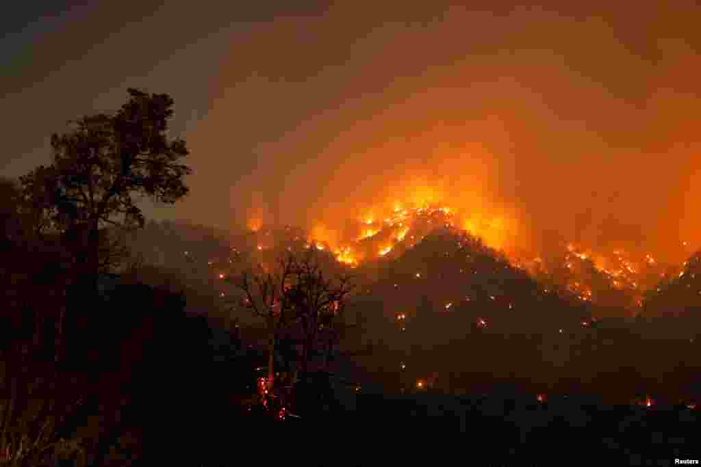 The Sheep Fire wildfire burns through a forest on a hillside in Wrightwood, California, June 12, 2022.