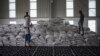 FILE - Men carry a bags of wheat to be loaded on an aid truck in a U.N. storehouse on the outskirts of Semera, Afar region, Ethiopia, May 15, 2022. 