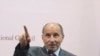 Who Are the Libyan Rebels?