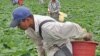 México niega rapto de inmigrantes