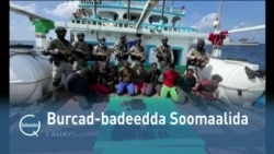 Qubanaha VOA