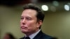 Musk promete "guerra" para defender programa visas H-1B en medio de disputa con partidarios de Trump