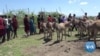 Kenya Donkey Keepers Move to Protect Animals from Slaughter for Medicine 
