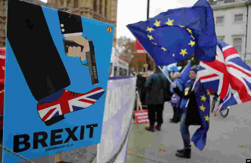 Protestors demonstrate opposite Parliament against Britain's Brexit split from Europe, in London.