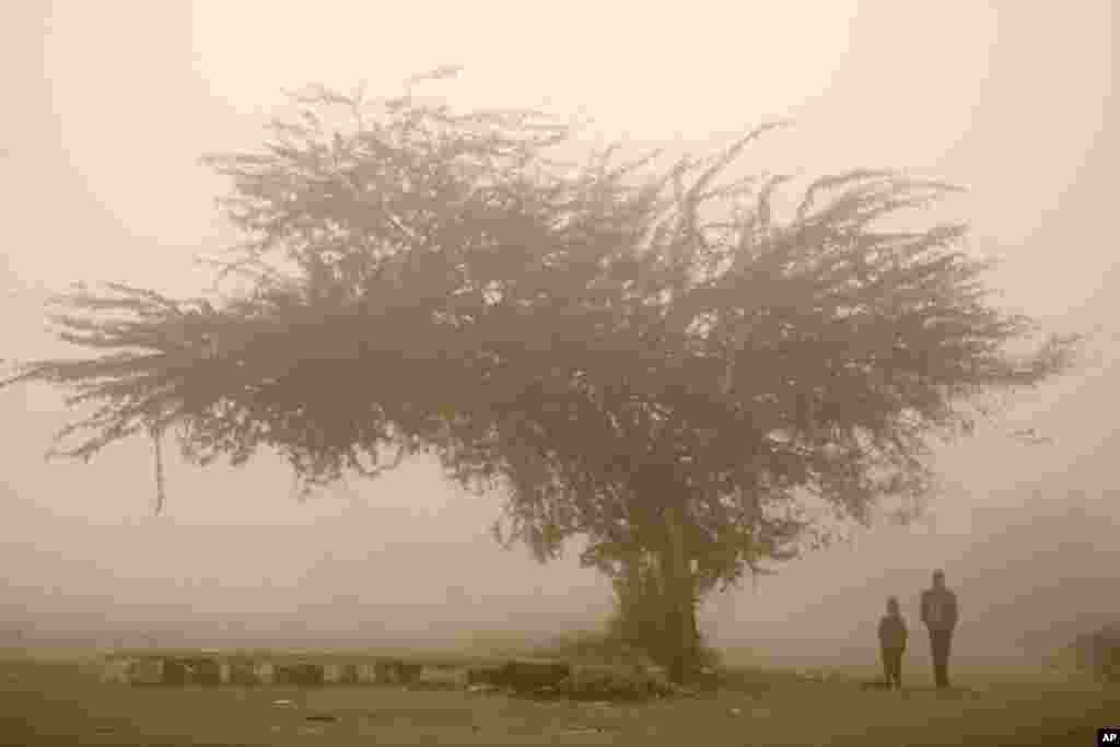 Boys walk to school through morning fog in Jammu, India. Dense fog has disrupted train and flight services in northern India for the past few days.