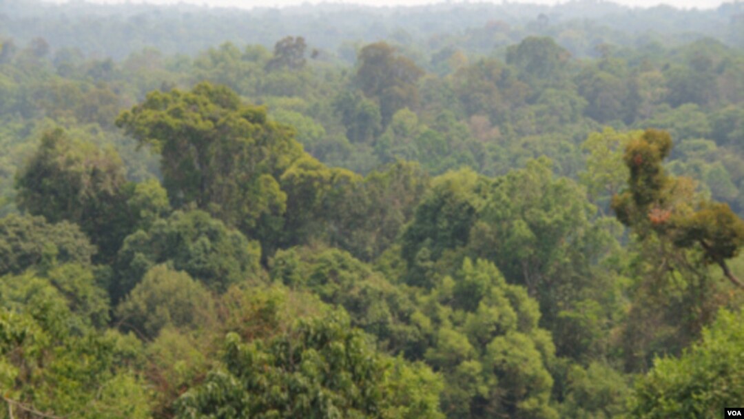 China e India están presionando para que se reduzcan las áreas de costa marina protegidas aun 6% frente al 20% que las organizaciones ecológicas consideran necesario.