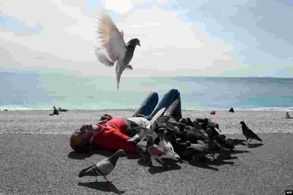 A man is lying with pigeons on the 'Promenade des anglais' on the French riviera's city of Nice.