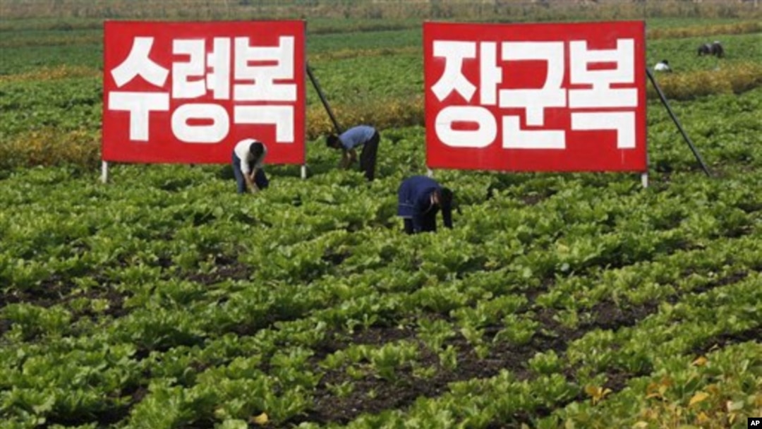 지난해 9월 북한 황해북도의 농촌 풍경. 김일성, 김정일에 대한 충성을 다짐하는 구호가 걸려있다.