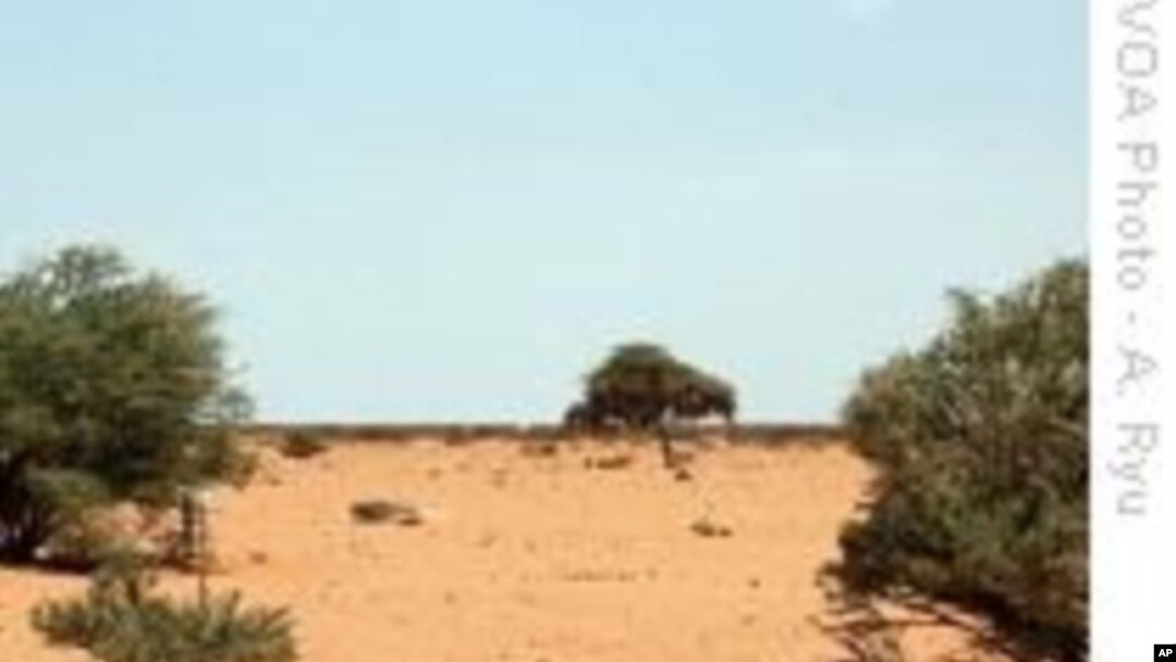 UN: Drought Forcing New Cycle of Human Suffering in Somalia