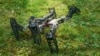 This damaged robot tests different responses using a trial-and-error algorithm and can learn to get up and keep walking in about a minute. (Credit: Antoine Cully/Pierre and Marie Curie University)