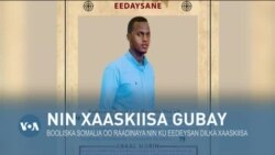 Qubanaha VOA