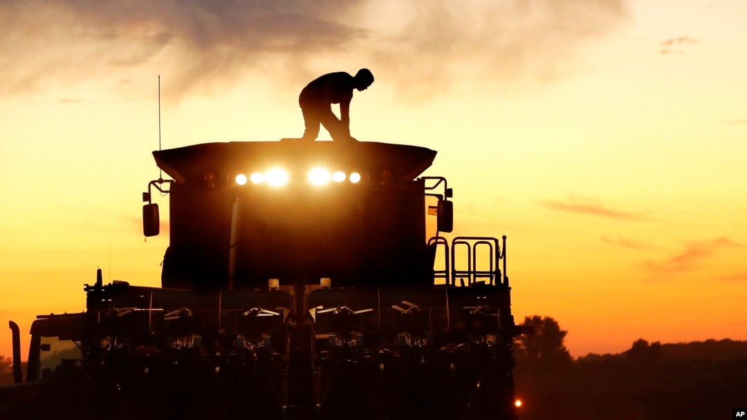 FILE - A corn farmer, on top of his combine, is silhouetted against the setting sun while harvesting corn in Pleasant Plains, Illinois, Sept. 27, 2014. 