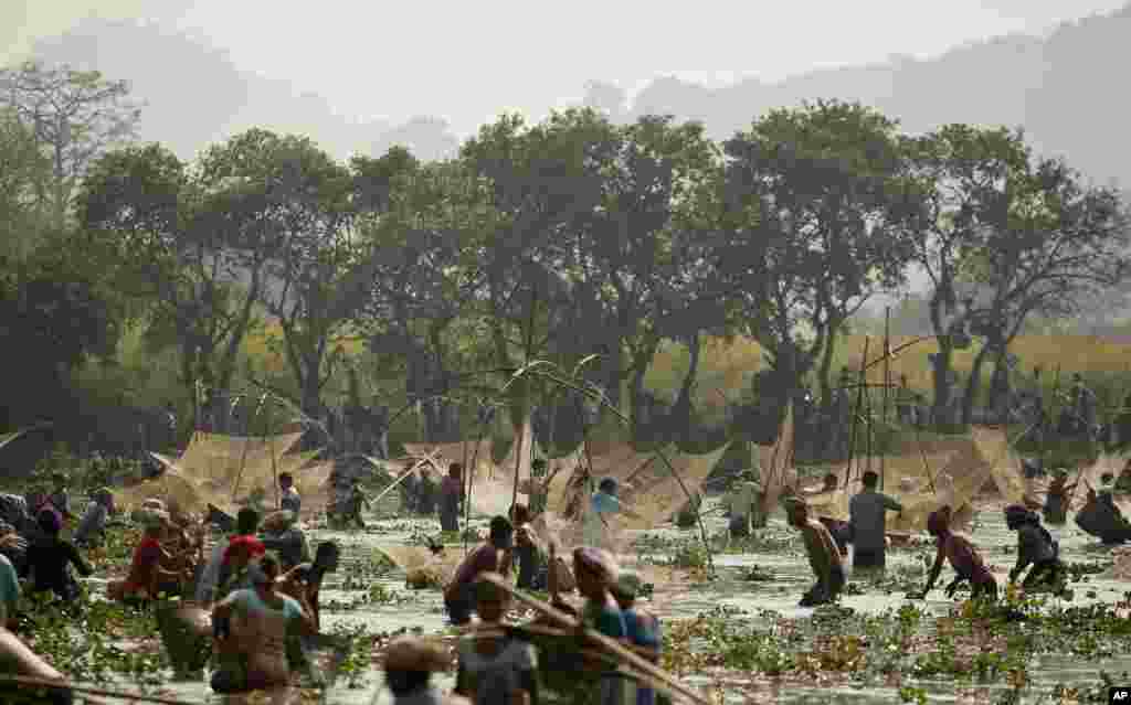 Indian villagers participate in community fishing as part of Bhogali Bihu celebrations in Panbari village, some 50 kilometers (31 miles) east of Gauhati.