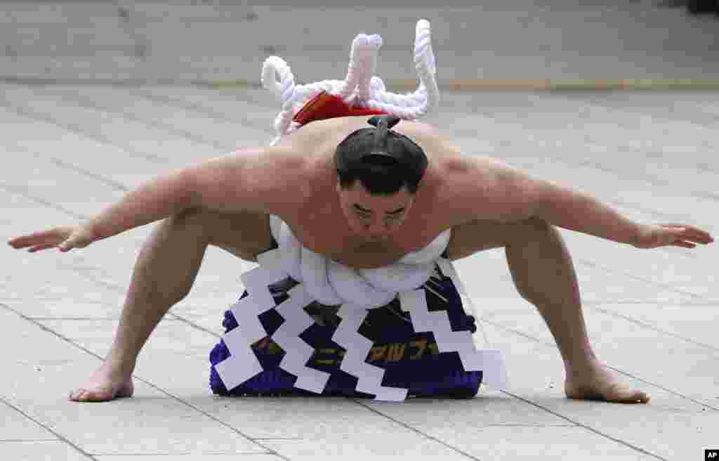 Sumo grand champion Harumafuji of Mongolia performs his ring entry forms to dedicate to the Meiji Shrine in Tokyo, Japan. The Shinto ritual is part of the annual New Year's celebrations at the shrine.