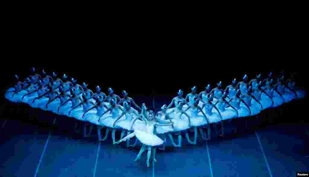 Shanghai Ballet perform Swan Lake, as "Greatest Swan Lake in the World" on stage during dress rehearsal in Berlin, Germany, Dec. 1, 2018.