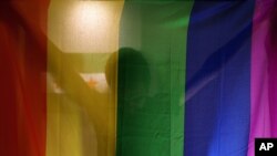 FILE - A gay activist stands behind a rainbow flag, Oct. 22, 2015.