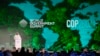 What Do We Expect From COP28?