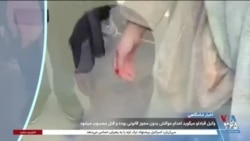 اخبار شامگاهی